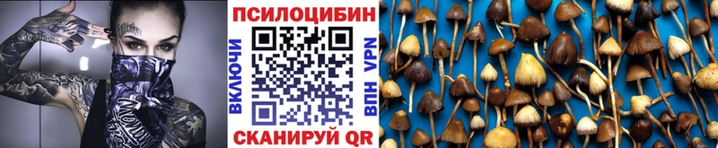 кракен зеркало  Камышин  Псилоцибиновые грибы Magic Shrooms 